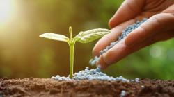 Importaciones de fertilizantes crecen 11.6 millones en valor