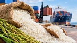 Importaciones peruanas de arroz caen a la mitad: Ecuador gana terreno y Tailandia pierde mercado