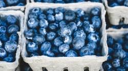 Impulsarán diversificación de oferta exportable no tradicional de Cajamarca