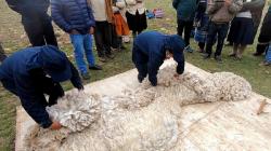 Inacal promueve uso de 14 normas técnicas para mejorar calidad de fibra de alpaca y producción del sector textil