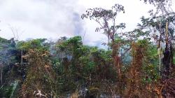 Incendios forestales y cambio climático: Amenazas a territorios indígenas en la cuenca del río Ene