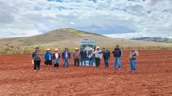INIA instala parcela demostrativa para incrementar producción de alfalfa de alta calidad genética en Cajamarca