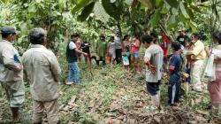 INIA transfiere tecnologías para conservación de suelo en cacao a productores de Curimaná