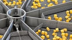 Investigadores desarrollan un prototipo de secado intermitente para deshidratar frutas sin perder calidad