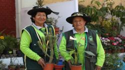 Junín: se inició el “IX Festival de Productores de Plantas Forestales y Ornamentales del Valle del Mantaro”
