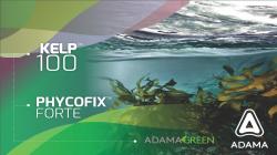 "Kelp 100™" y "PhycoFix Forte™", bioestimulantes naturales que aumentan la productividad y calidad de  los cultivos