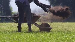 La “destrucción creativa” y la agricultura peruana