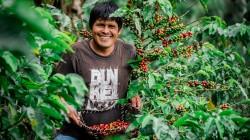 Lanzan proyecto “Café Seguro Perú”