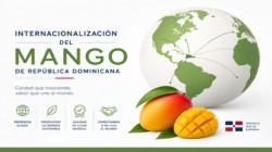 Mango de República Dominicana: oportunidades, desafíos y posicionamiento global