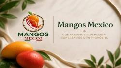 Mangos México: Plataforma que impulsa la transformación y expansión internacional del mango