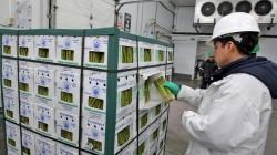 Mangos y espárragos frescos concentraron el 58.66% del volumen total exportado vía aérea