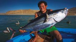 Mar Tropical de Grau: reserva beneficiará a 9,500 pescadores artesanales de Piura y Tumbes