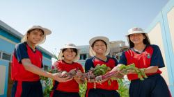 Más de 1,180 estudiantes aprenden sobre agricultura y alimentación saludable a través del programa Huertos Escolares