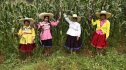 Más de 2 millones de agricultores ya están registrados en Padrón de Productores Agrarios