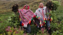 Más de 2 millones de productores agrarios trabajan para proveer los alimentos de todos los peruanos