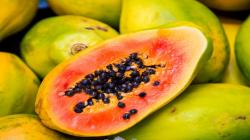 México lideró las exportaciones mundiales de papaya en 2023