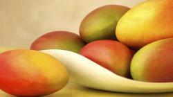 México: XIV Simposio Internacional del Mango 2025 se realizará en Sinaloa