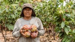 Minam impulsa desarrollo de 149 planes de bionegocios libres de deforestación en 94 comunidades nativas 55 pequeños usuarios del bosque