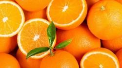 Naranja peruana llegó a 10 países en septiembre de 2024