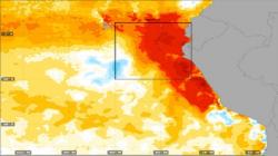 Niño costero se presentará hasta octubre y causará una mayor temperatura en la Costa