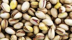 Ojo con el pistacho, el siguiente producto con gran frontera agroindustrial en Perú
