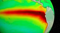 Ondas Kelvin cálidas se proyectan en el Pacífico por persistencia de anomalías de vientos del oeste