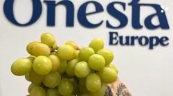 Onesta Europe: el salto estratégico de la agroindustria peruana hacia Europa