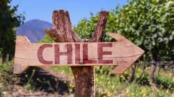 Panorama económico del sector agrícola chileno