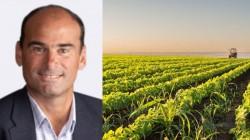 Para alcanzar las 500 mil hectáreas de agricultura moderna, se debe volver a los cultivos industriales como el algodón Pima