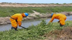 PEOT realiza mantenimiento y limpieza de 41 kilómetros de drenes en Lambayeque