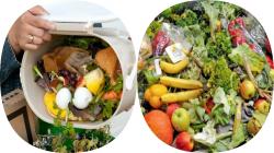 Pérdidas, Desperdicios y Recuperación de Alimentos: ¿Cómo estamos?