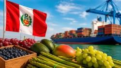Perú: Agroexportaciones crecen 4.9%, pero con un sector partido en dos velocidades