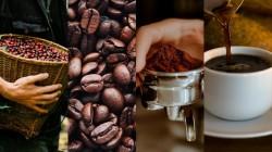 Perú avanza en trazabilidad de cacao y café, pero aún no cierra la cadena completa frente al EUDR