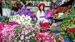 Perú cuenta con más de 4 mil hectáreas de flores y más de 7 mil productores