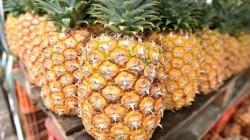 Perú exportó más de US$ 11 millones en piña fresca entre enero y agosto