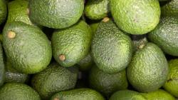 Perú fue el principal exportador de palta a China en 2023, enviado más de 50 mil toneladas