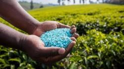 Perú: Importación de fertilizantes cae en valor 12%, en el primer trimestre