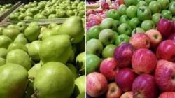 Perú: Importación de frutas crece en valor 40.3%,en la primera mitad de 2026
