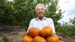 Perú logra acuerdos para exportación de mandarina fresca a Vietnam