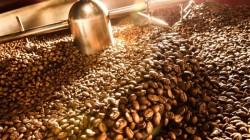 Perú será país anfitrión en dos eventos mundiales de café de especialidad