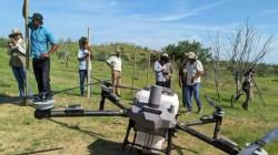 Piura plantea restaurar 15,000 ha de bosque seco con siembra de algarrobo mediante drones