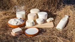 Piura produjo más de 51 millones de litros de leche en el  2025