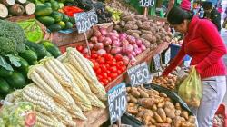Precios de los alimentos batieron récords en 2022 por la guerra en Ucrania