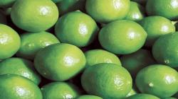 Procitrus: Exportaciones peruanas de limón tahiti seguirán creciendo