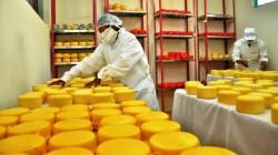 Producción peruana de queso superó las 159 mil toneladas en 2025