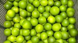 Productores de Tumbes inician envíos de limón Sutil al mercado mayorista de Santa Anita