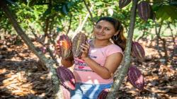 Productores del Vraem venden 75 toneladas de cacao orgánico a Italia