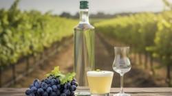 Promueven estándares de calidad para una elaboración segura y auténtica del Pisco Sour