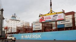 Puerto de Paracas supera las 280 mil toneladas de cebollas exportadas en temporada 2025-2026