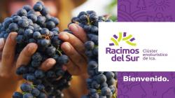 “Racimos del Sur” busca mejorar competitividad de empresas vitivinícolas y enoturísticas de Ica